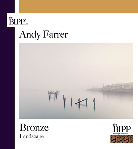 Bronze Award BIPP