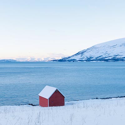 Frozen Landscapes